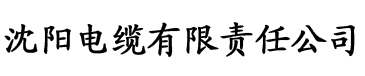 小姐姐app直播电缆厂logo